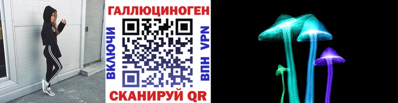 Псилоцибиновые грибы мицелий  мега как войти  Козьмодемьянск 
